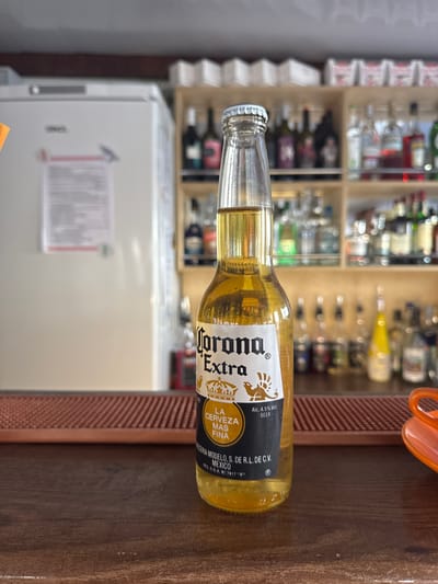 A close-up, eye-level shot focuses on a single bottle of Corona Extra beer placed on a dark wooden bar. The bottle is clear glass, filled with pale yellow beer, and features the distinctive Corona Extra label with a crown and eagle motif. The label also states "LA CERVEZA MAS FINA" and "MEXICO". The bottle is upright and centered in the frame. Behind the bottle, shelves stocked with various alcoholic beverages are visible, suggesting a bar or liquor store setting. To the left of the bottle, a portion of a white refrigerator is visible. To the right, an orange object, possibly a cup or coaster, is partially in frame. The background shelves are slightly out of focus, with the bottle remaining sharp. The lighting appears to be ambient, with no strong shadows. The image depicts a still-life arrangement on a bar counter.