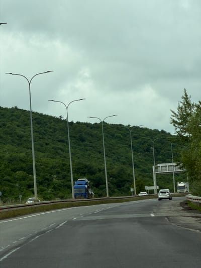 The scene depicts a section of road in Tserovani, Georgia, adjacent to a tree-covered hillside under an overcast sky. Several evenly spaced, slender streetlights line the road. A few vehicles, including a blue truck and white cars, are visible on the road. The road itself is asphalt with painted white lines marking lanes. A green grassy area separates the road from a guardrail along the roadside.