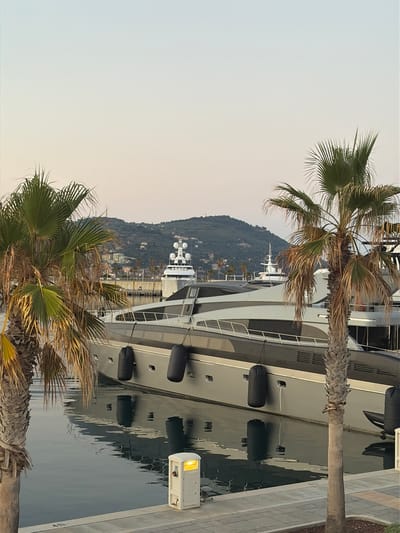 This is a vertical, eye-level photograph taken in Imperia, Italy, likely during the late afternoon or early evening due to the soft, diffused light. The scene is a marina, dominated by a large, modern yacht docked at the water's edge. The yacht is sleek and gray, with multiple levels and windows. Black fenders hang along its side, resting against the hull. The water is calm, reflecting the yacht and the sky.
In the foreground, two palm trees with green fronds frame the scene. Their trunks are rough and textured. Behind the yacht, a lush, green hillside rises, dotted with buildings and trees, suggesting a coastal town. The sky is a pale, clear gradient from light blue at the top to a faint orange or yellow near the horizon, indicating either dawn or dusk.
There are no people visible in the image, but the presence of the yacht and the marina setting implies a leisurely or luxurious environment. The overall mood is serene and tranquil, with a touch of Mediterranean charm from the palm trees and the hillside town. A small, white light fixture with a yellow glow is visible on the right side of the yacht, near the walkway. No visible text is present in the image.