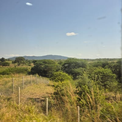 This is a photograph of a rural landscape in the city of Semakwede, Tanzania, on a clear, sunny day. The foreground features dry, yellowish-brown grass and a wire fence with vertical wooden posts, suggesting a boundary or enclosure. Beyond the fence, there is a dense area of green trees and shrubs, with some fields of crops visible in the middle ground. In the distance, a range of large, green mountains forms the horizon under a light blue sky. A small, white cloud is visible in the sky, as well as some bright, irregular shapes that could be lens flares or atmospheric phenomena. There are no people or animals visible in the image. The overall impression is one of a natural, undeveloped environment.
