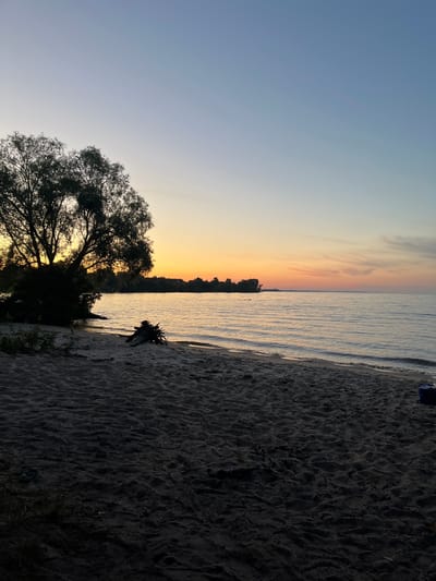 The image depicts a beach scene at sunset, with the sun low on the horizon casting a warm, orange glow across the sky and water. The sky transitions from a soft blue at the top to vibrant hues of orange and pink near the horizon. A calm body of water, likely a lake or river, meets a sandy beach in the foreground. The sand is textured with ripples and small debris.

On the left side of the frame, a large, silhouetted tree with sprawling branches dominates the foreground, its leaves dark against the colorful sky. Near the water's edge, a piece of driftwood or a fallen branch lies on the sand. In the far distance, a thin strip of land with trees is visible, creating a silhouette against the sunset. The overall mood is peaceful and serene, suggesting a quiet evening by the water. The time of day is clearly sunset. The weather appears calm with no indication of wind or rain. There is no visible text in the image. The scene is located in Demydiv, Ukraine.