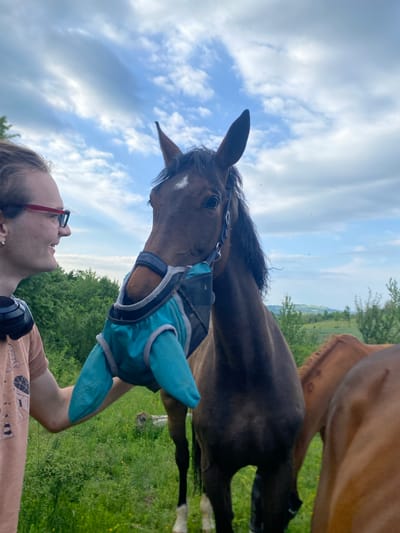 A medium-angle shot shows a person facing a horse. The horse is wearing a light blue covering around its neck. A second horse is partially visible behind the first. The person has red-rimmed glasses and is looking at the horse. The background consists of grass, trees, and a cloudy sky. The location is likely Gornje Leskovice, Serbia, given the request, but without further specifics in the image, it can only be considered a rural environment.