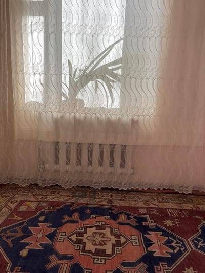 The image displays an indoor scene located in Vaghatin, Armenia. A sheer, white curtain with a repeating wavy embroidered pattern fully covers a window, allowing natural light to filter into the room. A clear silhouette of a potted plant with elongated leaves is visible against the bright light, positioned on the windowsill behind the curtain. Below the windowsill, a white radiator with vertical fins is discernable through the translucent fabric. The floor is covered by a large, traditional rug featuring geometric and stylized patterns in shades of deep red, dark blue, and beige. No individuals are present in the scene.