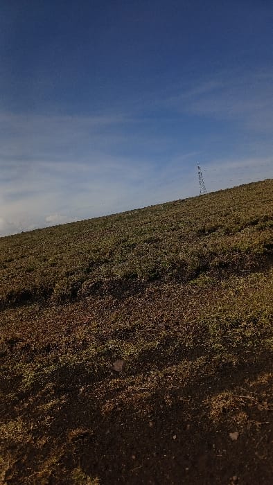 The image depicts an outdoor, rural landscape in Kaputiei North ward, Kenya, characterized by an upward-sloping terrain under a clear blue sky. The lower two-thirds of the frame show a hillside covered in a mixture of low-lying green-brown vegetation and exposed dark brown soil, with visible shadows indicating daylight. In the upper right quadrant, a slender metal lattice transmission tower is positioned on the distant crest of the slope. Multiple dark, thin power lines extend horizontally across the mid-ground, originating near the tower and proceeding to the left, out of the frame. The upper third of the image displays a vast blue sky with scattered wispy white clouds. No individuals, animals, or specific actions are observed.
