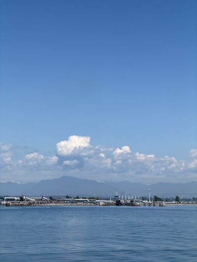 This image depicts a waterfront industrial area in the city of Delta, Canada. The foreground is dominated by calm, blue water with gentle ripples, suggesting a serene maritime environment. In the mid-ground, a long, man-made structure extends into the water, serving as a pier or dock. This structure features various industrial elements, including buildings, cranes, ramps, and what appear to be loading or unloading facilities. Several boats are docked along the pier.

Beyond the industrial zone, a range of mountains forms the backdrop. The lower slopes of the mountains are densely forested, while the peaks are capped with snow, indicating a significant elevation. The sky above is a clear, bright blue, with a few scattered white clouds. The overall impression is one of a functioning port or industrial complex situated within a natural landscape.