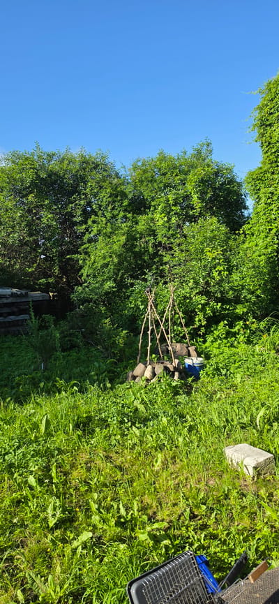 The image depicts an outdoor scene in a grassy area with dense green foliage in the background. In the center of the frame, a primitive fire pit is constructed with stones and supported by three wooden poles forming a tripod structure. Adjacent to the fire pit, a blue bucket is visible. To the left of the fire pit, there are stacked wooden planks. In the foreground, a portion of a metal grill rack is visible in the lower right corner, and a light-colored concrete block lies in the grass on the right side. The sky above is clear and blue. There are no people or animals present in the scene. The scene appears to be a backyard or a natural setting, possibly on the outskirts of Valmiera, Latvia, given the vegetation and clear sky.