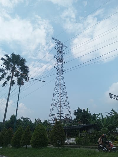 The image captures a bright, sunny daytime scene dominated by a large electricity transmission tower set against a clear blue sky with scattered white clouds. The perspective is from slightly below, looking up at the towering structure and the surrounding environment.
In the upper center and right, a tall, metallic, lattice-type power pylon stands prominently. Numerous thin power lines extend horizontally from its insulators, stretching across the frame in both directions.
To the left of the power tower, two tall palm trees with dark green, fanned fronds are visible, with the one closer to the foreground appearing more detailed. A dark streetlamp pole with a long arm is situated between the palm trees and the base of the power tower.
The foreground consists of a strip of vibrant green grass, bordering what appears to be a road or path. Along this edge, a row of approximately five to six neatly manicured, cone-shaped evergreen bushes or small trees with dense green foliage forms a visual barrier.
Behind these bushes and extending towards the mid-ground, there is a dense cluster of various green trees and plants, including what appears to be banana plants on the right side. Nestled within this greenery, directly beneath the power tower, is a low-slung structure, possibly a shed or stall, with a dark tarp or netting covering its roof. Next to it are several white sacks, potentially containing sand or other materials. On the roof of this structure, a person in a light-colored top can be seen standing or working.
On the far right, near the bottom of the frame, two individuals are riding a red and white motor scooter on what appears to be a paved road. The rider in front wears a dark helmet and jacket, while the passenger behind wears a lighter top and head covering or helmet.
The overall lighting suggests a clear day, likely late morning or early afternoon, with natural sunlight illuminating the scene and casting soft shadows. There is no visible text in the image.