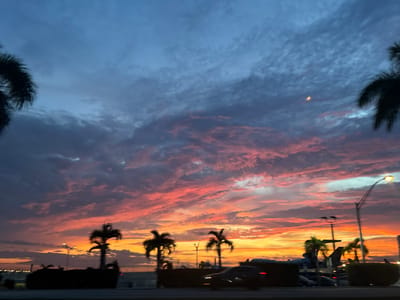 A panoramic, eye-level shot captures a vibrant sunset over Coral Gables, Florida, United States. The sky is a dramatic canvas of deep blues, transitioning through fiery oranges and reds as the sun dips below the horizon. Wispy clouds are illuminated by the fading light, creating a textured spectacle. Silhouetted against this breathtaking backdrop are several palm trees, their fronds casting long shadows. In the middle ground, a few streetlights are visible, casting pools of warm light. Partially obscured by the trees and the low light are several vehicles, some appearing to be in motion, indicated by blurred headlights and taillights. In the far background, hints of buildings and potentially an airplane are discernible, suggesting an urban or airport setting. The overall atmosphere is serene and visually striking, dominated by the natural beauty of the sunset.