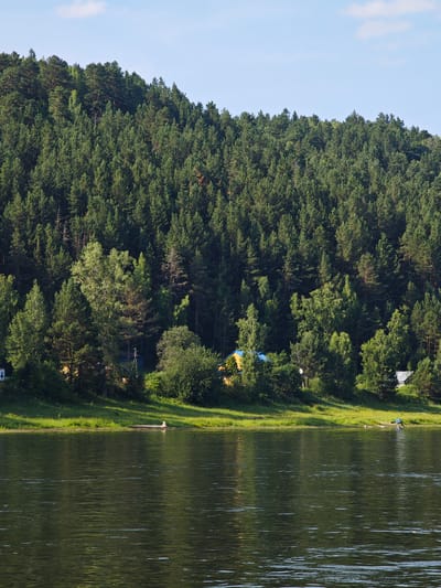 A wide, dark green river flows in the foreground, reflecting the dappled sunlight and the lush green forest on the opposite bank. A narrow strip of green grass and trees separates the river from the dense forest that covers a steep hillside. A few small houses with brightly colored roofs are partially visible nestled among the trees on the embankment. A long, narrow boat is pulled up onto the grassy shore. The sky is a clear, pale blue with a few wispy white clouds. The scene appears to be a remote, natural landscape, likely a rural area near Pristan', Russia, characterized by its abundant greenery and water.