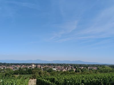 The image captures a panoramic view of Herrlisheim-près-Colmar, France, on a clear day. In the foreground, lush green grapevines dominate the lower portion of the frame, suggesting an agricultural landscape. Beyond the vineyards, a town with a cluster of buildings, characterized by red-tiled roofs and a prominent church steeple, is nestled amongst dense green trees. In the distance, a range of rolling hills or mountains forms a hazy blue backdrop under a vast expanse of clear blue sky with scattered wispy clouds. The scene depicts a serene, rural setting with a small town integrated into the natural environment.