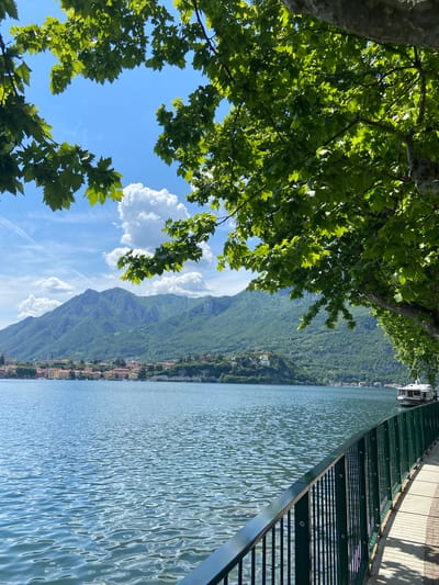 The image depicts a view in Lecco, Italy, showcasing Lake Como, mountains, and architectural structures. The composition features foliage from trees in the top left and bottom left corners. In the top right, a green metal fence is visible, partially obscuring a building structure. The lake's surface reflects sunlight, creating a shimmering effect. In the background, mountains covered in green vegetation rise above a town along the shoreline. The sky is blue with scattered clouds.