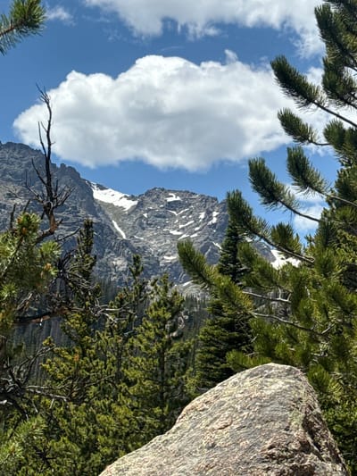 A mountain range with patches of snow is visible under a bright blue sky dotted with white clouds. In the foreground, pine trees and a large rock dominate the scene. The environment is natural and appears to be a wilderness area. There are no people or man-made structures visible.