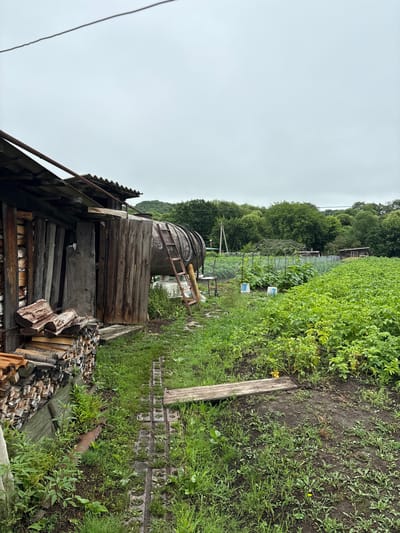 The image depicts an outdoor scene in Tikhovodnoe, Russia, featuring a small, rustic wooden shed on the left side of the frame. The shed has a corrugated metal roof and is filled with stacks of firewood. To the right of the shed, a large, weathered metal tank is visible, with a ladder leaning against it. Beyond the shed and tank, a cultivated garden stretches out, filled with rows of green plants. The sky is overcast, and the overall atmosphere is rural and somewhat unkempt. There are no people or animals visible in the image.