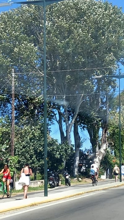 In the city of Heraklion, Greece, a sunny day is depicted on a street lined with large trees. A woman in a red tank top and shorts rides a green bicycle on a paved sidewalk. To her right, another woman walks away from the camera, wearing a white dress and carrying a large white bag over her shoulder. Further down the sidewalk, two parked motorcycles are visible. A person rides a bicycle away from the camera towards the right side of the frame. Another person walks on the sidewalk to the right of the cyclist, carrying a bag. The street is paved, with a yellow line marking the edge of the sidewalk. The background features a dense green canopy of trees and a clear blue sky.