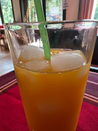The image displays a close-up, slightly rotated view of a tall, clear glass filled with an opaque, vibrant orange liquid, likely juice, in Narechenski bani, Bulgaria. Several large ice cubes are submerged in the drink, and a bright green plastic straw extends into the liquid from the left side.
The glass shows noticeable condensation on its exterior surface, with numerous small water droplets clinging to the sides, indicating the drink is cold and the ambient temperature is warm. Tiny bubbles are also visible clinging to the interior surface of the glass, near the ice and liquid. The glass is positioned on a textile surface, likely a placemat or tablecloth, which features a distinct pattern of broad red and dark brown stripes, interspersed with thinner, lighter-colored (possibly white or beige) stripes.
In the blurred background, a window is visible, through which diffuse natural light enters. The view outside appears to be lush green foliage and trees, suggesting an outdoor garden or natural setting, along with some indistinct structural elements. The scene conveys a sense of a relaxing moment, enjoying a cool beverage, presumably during the daytime. No discernible text is visible on any objects within the frame.