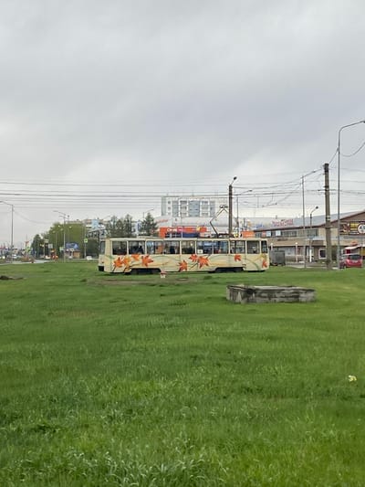 The image shows a tram decorated with maple leaf designs, traveling along a track in Usolye-Sibirskoye, Russia. The tram is on the left side of the image, parallel to a green grass field on the right. Overhead wires for the tram are visible, extending towards buildings in the background. The sky is overcast. The city of Usolye-Sibirskoye is identifiable by its typical urban landscape including the types of buildings and transportation infrastructure. There are no people explicitly visible in the image.