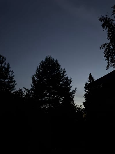 The image depicts a silhouette of trees against a dark, twilight sky. The trees are varied in shape and density, with some appearing as dense evergreen conifers and others as more sparse deciduous trees. The sky transitions from a deep blue at the top to a lighter, dusky hue near the horizon. A portion of a building is visible on the right side of the frame, also silhouetted against the sky. The overall impression is that of a quiet, natural setting at dusk. The image does not contain any identifiable people or actions.