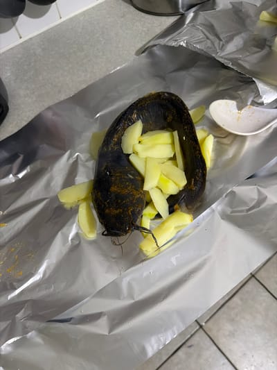 A close-up, overhead shot reveals a raw fish, possibly a catfish, nestled on a sheet of aluminum foil, interspersed with chunks of cut potatoes. The fish is predominantly dark, with mottled patches. The potatoes are pale yellow. A white plastic spoon sits to the upper left, also on the foil. The scene appears to be indoors, situated on a countertop near white tiled flooring. Based on visual context alone, no association with the city of Rotherham, United Kingdom, can be established. No people are visible. The interaction observed is the preparation of food.