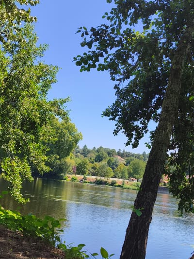 The image captures a serene river scene in Confolens, France, on a clear, sunny day. A calm, wide river flows through the center of the frame, reflecting the bright blue sky and surrounding lush greenery. On the left bank, dense foliage of trees with vibrant green leaves creates a natural border, with some branches extending over the water. The right bank is characterized by a gently sloping, tree-lined hill dotted with several small buildings and rooftops, suggesting a residential area nestled within the landscape. In the foreground, the earthy bank slopes down to the water's edge, with patches of grass and small green plants. The overall impression is one of tranquility and natural beauty, indicative of a peaceful riverside setting in the French countryside.
