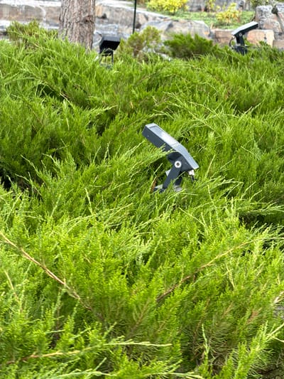 The image shows a close-up view of dense, green evergreen foliage, likely a cypress or juniper, with a blurred background. A black outdoor spotlight is partially visible among the branches, mounted on a dark bracket. The spotlight is angled upwards and appears to be a modern design with a rectangular face. In the upper left portion of the image, a stone wall and some yellowish-green foliage are discernible through the evergreen branches, suggesting an outdoor setting. There is also a hint of tree bark on the left side.
The lighting suggests it might be daytime, as there are highlights on the foliage. The overall scene is static, with no clear activity taking place beyond the presence of the installed spotlight, which implies a functional purpose, perhaps for landscape illumination. The image is dominated by the vibrant green of the plants, creating a lush and somewhat textured visual. No text is visible in the image. Given the location context of Озерное (Майминский), Russia, the setting is likely a garden, park, or yard.