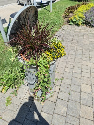 A grey, weathered metal planter filled with ornamental grass, small yellow flowers, and trailing green plants sits on a paved stone walkway. The planter is partially covered by a tilted metal lid. To the left of the planter is a patch of green grass with weeds, and to the right, more paved walkway and a section of a garden bed with colorful foliage. In the background, a car is partially visible on a road. A shadow of a person holding a camera is cast on the walkway in the foreground. The scene is outdoors, under bright sunlight, suggesting a daytime setting. The presence of a car with Austrian license plates indicates the location is likely within Austria, and the mention of Sankt Marein bei Neumarkt, Austria, places it in that specific municipality.
