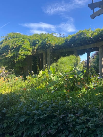 The image depicts a lush garden scene with a stone pergola covered in green foliage and some purple flowers. The foreground is filled with various plants, including dark green leafy bushes, tall green grasses, and some orange and yellow flowers. The sky above is blue with scattered white clouds. The image appears to be taken on a sunny day, with sunlight filtering through the greenery. The pergola has stone pillars and a wooden or stone beam structure overhead. In the background, more trees and foliage are visible. The scene conveys a sense of natural beauty and tranquility. The location is the Japanese Gardens at the Butchart Gardens, near Langford, Canada. There are no people visible in the image.
