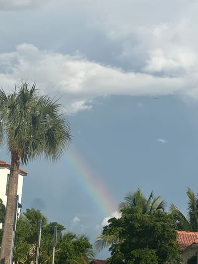 The image depicts an outdoor scene in Fort Myers, United States, primarily showcasing a meteorological event and local flora and architecture. A partial rainbow, exhibiting a full spectrum of colors, arches diagonally from the lower center towards the upper left against a partly cloudy sky. The sky contains cumulus and stratocumulus clouds in shades of light grey to darker blue-grey, with clear patches of light blue. In the upper right quadrant, a small, dark winged aircraft is visible in flight.
The foreground and midground are dominated by dense tropical vegetation. A large palm tree, consistent with *Sabal palmetto*, stands prominently on the left side, extending vertically and partially obscuring a light-colored, multi-story building with a visible window opening. Additional lush green foliage, including various palm fronds, frames the lower and right portions of the image. Beneath this foliage in the lower right, the terracotta-colored, Spanish-style roof tiles of another structure are visible. A pole-like structure, possibly a signpost or utility pole, with a reflective surface, is discernible at the lower-left, adjacent to the main building. No human figures or observable human activities are present in the frame.