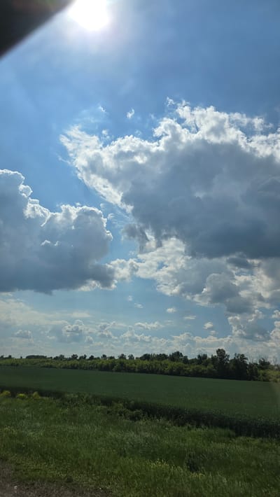 A vertical, low-angle shot captures a sunlit sky filled with dramatic, voluminous clouds, casting shadows on a lush green landscape. The bright sun, partially obscured by the edge of the frame and sun rays, dominates the upper left portion of the image. The sky transitions from a brilliant blue at the top to a lighter hue near the horizon, where a dense line of green trees forms a backdrop for a vast, verdant field. In the foreground, tall green grass, some bending in the wind, covers the lower part of the image, with a strip of gravel or dirt visible at the very bottom. The scene is devoid of people or any man-made structures, presenting a natural, serene environment.
