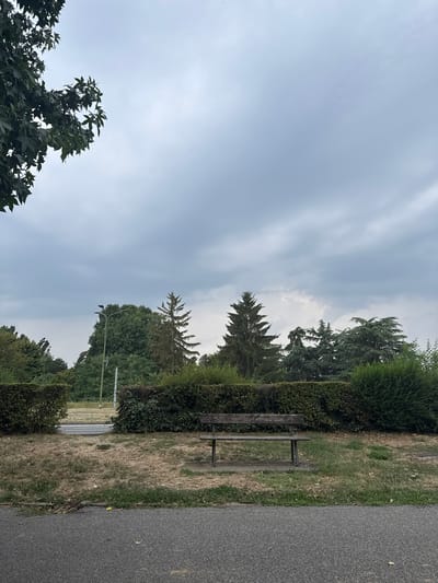 The image shows an outdoor scene with a wooden bench in the foreground, set against a backdrop of dense green hedges and various trees. The sky is overcast and gray, suggesting a cloudy day. The ground in front of the bench is covered with dry, yellowed grass and some patches of green. To the left of the bench, a paved path or road is visible, with a lamppost in the distance. The overall impression is of a park or a quiet outdoor area. There are no people or animals visible in the scene. The image is a static, neutral view of a natural setting.