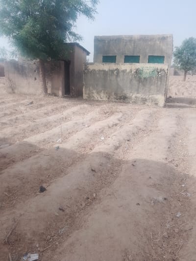 The image depicts an outdoor, arid or semi-arid environment in Kanwa, Nigeria. The foreground consists of light brown, sandy earth, prepared into distinct parallel furrows or raised beds, extending from the bottom of the frame towards the middle ground. Scattered debris, including small dry plant matter and refuse, is visible on the ground.
In the middle ground, two single-story structures are present. On the left, a smaller, dilapidated building with light brown or beige plastered walls features a dark, rectangular entryway. A mature tree with green foliage grows directly adjacent to and partially above this structure, its branches extending over the roofline. To its right, a larger, rectangular building with grey, rough-textured plastered walls stands. The lower section of its front wall is a lighter beige or off-white, bearing faint, faded green text or markings. The upper section of this building features three evenly spaced, dark green rectangular window shutters or openings. A lower concrete or plastered wall, lighter at its top edge, extends in front of the larger building, partially obscuring its lower facade and creating an enclosure with the adjacent smaller structure.
The background shows faint outlines of distant structures and sparse vegetation under a hazy, light-colored sky. No individuals or animals are visible, and no actions or interactions are depicted within the static scene.