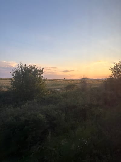 This image depicts a rural landscape at sunset, located in Tsar Asen, Bulgaria. The sky transitions from a light, clear blue at the top to a vibrant orange and yellow hue near the horizon, indicative of a sunset. Scattered, light pink and white clouds are visible in the upper left quadrant, with fainter, wispy clouds extending towards the right. A faint, white airplane contrail is discernible in the upper right sky.
The horizon features distant, low-lying mountains or hills, appearing as dark silhouettes against the bright sunset. The midground consists primarily of expansive fields covered in dry, light-colored vegetation, likely tall grasses or mature crops, extending across the frame.
The foreground is dominated by dense, dark green foliage. A prominent, medium-sized, leafy deciduous tree stands in the left-midground, its darker leaves contrasting with the lighter fields behind it. To the right of the frame, parts of another, partially bare or less dense tree are visible, its branches silhouetted. The immediate foreground is heavily shaded and filled with dark green and brown shrubs and undergrowth, obscuring the ground plane. No individuals, animals, or artificial structures are discernibly present within the scene.