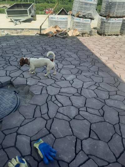 In Slavsko, Ukraine, a white and brown Jack Russell Terrier walks across a newly laid, irregular-shaped paver patio. The pavers are a dark gray, with visible dark grout lines forming a mosaic-like pattern. A circular manhole cover with a textured surface is partially visible to the left of the dog. In the foreground, a pair of blue and yellow work gloves lies on the pavers. In the background, stacks of packaged paving stones are visible, some wrapped in plastic. A small utility trailer sits on a lighter-colored paved surface behind the stacks. A tool with a long handle, possibly a rake or hoe, leans against one of the stacks. The environment appears to be an outdoor construction or renovation site, with a glimpse of green trees and houses on a hillside in the distance. Sunlight casts a distinct shadow across the patio, dividing it into light and dark sections.