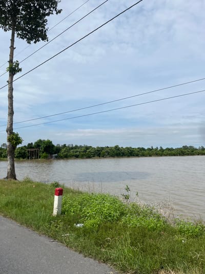 A landscape scene shows a body of water with trees lining the opposite bank. Lush green vegetation grows along the near side. A red and white post marks the edge of a road. Electrical wires stretch across the sky above a tree with sparse foliage. The sky is partly cloudy. The image is rotated counterclockwise.