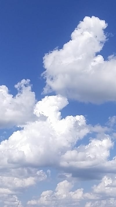 This image depicts a wide-angle shot of a bright blue sky filled with numerous fluffy white clouds of varying sizes. The clouds are primarily cumulus and stratocumulus, with some appearing dense and voluminous, while others are more wispy. The lighting suggests it is daytime, likely midday, with the sun positioned out of frame, illuminating the clouds from above and highlighting their textures and shadows. The background is an unbroken expanse of clear blue sky. No people, structures, or any other objects are visible in the frame. The scene is characteristic of fair weather conditions. There is no information within the image to suggest the location is Озёрный ауылдық округі, Kazakhstan.