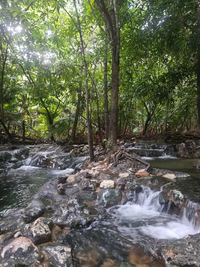 The image depicts a natural hot spring with a small waterfall cascading over rocks. Lush green foliage and trees surround the area, suggesting a tropical or jungle-like setting. Sunlight filters through the leaves, indicating it is daytime. The water appears clear and is flowing over dark, textured rocks, some of which are partially submerged. The scene conveys a sense of tranquility and natural beauty. The orientation of the image is landscape, with the stream and rocks occupying the right side and the forest the left. There are no people or visible text in the image. The location is identified as Tambon Khlong Thom Nuea, Thailand, which is known for its natural hot springs.