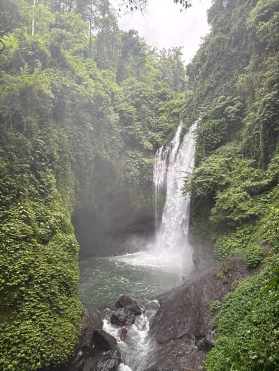 A vibrant waterfall plunges into a pool surrounded by lush greenery. The water cascades down multiple tiers, creating mist and foam at the base. The surrounding vegetation includes dense foliage and clinging vines on rocky cliffs. The overall scene evokes a sense of natural beauty and tranquility.