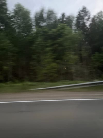The image appears to be taken from a moving vehicle, possibly a car. A blurry view of trees is visible through the window. The roadside includes a shoulder with a painted white line. The background suggests a wooded area under an overcast sky. Location in Kvarsa, Russia cannot be determined from the image.