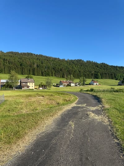A paved road curves through a lush green meadow in the rural area of Le Sentier, Switzerland. The road, which appears to be slightly weathered and has some dry grass clippings scattered on its surface, leads the eye towards a cluster of traditional Swiss houses nestled in the mid-ground. These buildings, with their characteristic pitched roofs and light-colored facades, are set against a backdrop of a dense, dark green coniferous forest that stretches across a rolling hillside. The sky above is a clear, vibrant blue, with no clouds visible. The overall scene depicts a tranquil, idyllic countryside setting bathed in bright sunlight.