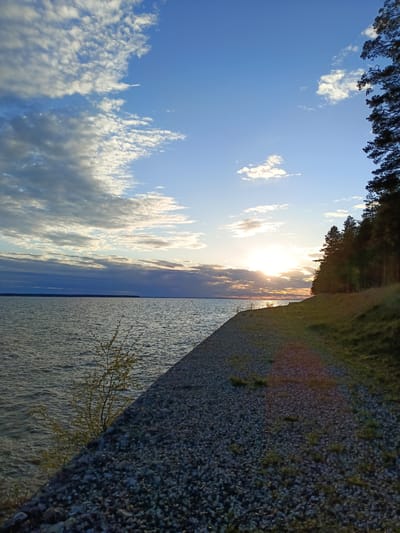 The image depicts a landscape at Вичелово, Russia, featuring a body of water (likely a lake or river) occupying the left side of the frame. The water's surface is rippled, reflecting the sky. The sky is a mix of blue and clouds, with a vibrant sunset occurring on the horizon.

A rocky shoreline extends diagonally from the bottom left towards the center of the frame, transitioning into a grassy bank. A line of trees borders the bank, defining the edge of a forest or wooded area. The angle and perspective suggest a slightly elevated vantage point. No people are visible.