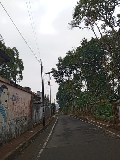 The image depicts a street scene in Pelwehera, Sri Lanka. An asphalt road runs through the center of the frame, curving slightly to the right. To the left of the road is a weathered concrete wall covered in graffiti, including a large, stylized portrait of a person's face. Further along the wall, more abstract graffiti tags are visible. A dark utility pole with electrical wires stretches diagonally across the upper left portion of the image. To the right of the road, a metal fence with green bars encloses an area with lush vegetation. Tall trees with dense foliage line the right side of the street, their branches reaching towards the overcast sky. The overall environment appears to be a residential or semi-rural area. There are no people or animals clearly visible in the image. The lighting suggests an overcast day.