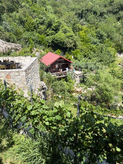 The image depicts a mountainous landscape with dense green vegetation, possibly in the vicinity of Krapina, Montenegro. A small wooden cabin with a red roof is nestled amidst the trees. In the foreground, there is a stone structure with chairs visible inside, possibly a covered patio or outdoor dining area. Grape vines are growing on a trellis or fence-like structure near the stone building. There are no visible people.