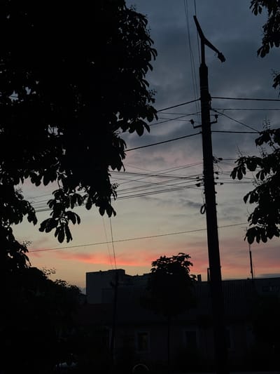 This image captures a twilight urban landscape in Zviahel, Ukraine, dominated by silhouetted elements. The sky transitions from a deep, cloudy grey-blue at the top, indicative of evening, to a vibrant gradient of light yellow, orange, and pink along the horizon, characteristic of a sunset. Small, dark specks, possibly birds or insects, are visible against the lighter sky portions.
In the immediate foreground on the left, a large, dark tree with dense, broad leaves forms a heavy silhouette, obscuring the upper left and a significant portion of the mid-left sky. Lighter shapes within its canopy suggest small blossoms or developing buds. Extending vertically from the bottom to the top of the frame, slightly to the right of the center, is a dark utility pole. This pole is heavily laden with multiple cross-arms, insulators, and a dense, intricate network of dark electrical and communication wires that crisscross the mid-sky. A downward-facing streetlamp fixture is attached to the top of the pole but is not illuminated.
Below the horizon, the scene reveals the dark silhouettes of urban structures. These include a low-rise building with a distinct dark, possibly corrugated or tiled roof, and dark rectangular windows, positioned in the lower mid-right. Behind and to the left of this, a larger, blocky multi-story building is silhouetted against the colorful sky. A smaller tree silhouette is also visible in front of the lower building. No people, vehicles, or specific human activities are discernibly present within the frame. The overall impression is one of a quiet, atmospheric evening scene in an urban or suburban setting.