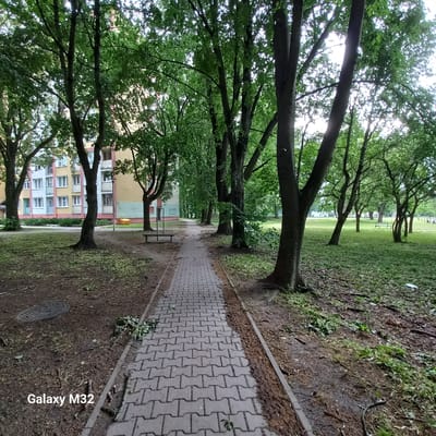 The image depicts a paved pathway leading through a park-like area in Olsztyn, Poland. The pathway is constructed from grey interlocking pavers and is bordered by a dirt and leaf-strewn ground on either side. Tall trees with lush green foliage line the pathway, casting shadows and dappling the ground with sunlight. In the background, a multi-story apartment building with a colorful facade of yellow, pink, and blue is visible, suggesting an urban or suburban setting. A bright yellow trash receptacle is also present near the building. Two simple park benches are visible in the distance along the pathway. The overall scene conveys a serene, outdoor environment, likely a residential complex's common area or a public park adjacent to housing. The watermark "Galaxy M32" is present in the lower left corner.