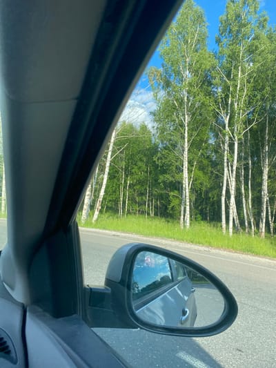 The image captures a view from inside a car, looking out the passenger side window. The foreground is dominated by the car's interior, with the dark gray dashboard and door panel visible. A portion of the side mirror is also in view, reflecting the sky and trees.
The exterior scene shows a paved road running parallel to a lush green grassy verge. Beyond the verge, a dense forest of birch trees stands tall against a bright blue sky with scattered white clouds. The birch trees are characterized by their white bark and vibrant green foliage, indicating it is likely summer. The scene suggests a drive through a rural or semi-rural area.
There are no people visible in the image, nor any active interactions occurring. The environment is natural and serene. The image does not provide any specific visual cues to pinpoint its exact location within Zelenodolsk, Russia, beyond the general description of a roadside forest.
