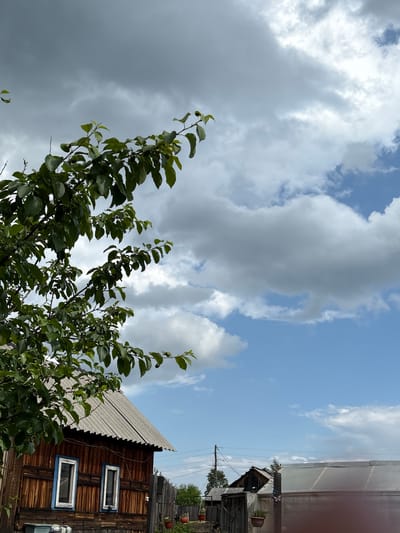 The image captures a rustic scene with a focus on the sky and a wooden building. The sky is filled with dramatic, grey clouds interspersed with patches of bright blue, suggesting a dynamic weather system, possibly with the threat of rain but also moments of sunshine. The time of day appears to be daytime, given the brightness and cloud formations.
In the foreground, branches of a leafy green tree extend into the frame from the left, their leaves a vibrant contrast to the sky. Some small, round fruits are visible on the branches, suggesting it might be late summer or early autumn.
To the right of the image, a weathered wooden building with a corrugated roof dominates the scene. The building's facade is made of dark, horizontal wooden planks. It features two small, rectangular windows with light blue frames. The architectural style and the building materials suggest a rural or semi-rural setting.
In the background, more of the wooden structure is visible, along with some power lines and a utility pole, hinting at infrastructure in the area. Potted plants are seen on ledges of the building, adding a touch of domesticity. The overall impression is one of a somewhat old-fashioned, perhaps slightly dilapidated, rural homestead. The context provided places this scene in Bratsk, Russia. There is no visible text in the image.
