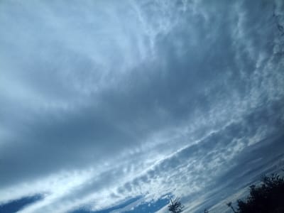 The image displays a vast expanse of cloudy sky, captured from an upward-looking perspective. The dominant colors are various shades of blue and grey, creating a somewhat moody or overcast atmosphere.
The sky is largely covered by clouds, which exhibit diverse patterns and densities. In the upper and central portions of the image, there are broad, relatively uniform masses of grey clouds, suggesting a layer of stratocumulus or altostratus. Below and interspersed with these denser clouds, particularly across the middle and lower sections, are more textured, elongated cloud formations. These clouds appear as distinct, parallel or nearly parallel streaks of lighter grey and white, often resembling wave-like ripples or rows. These could be indicative of altocumulus undulatus or cirrocumulus.
Patches of clearer, vibrant blue sky are visible, especially in the bottom-left corner and peeking through thinner cloud layers, providing a contrast to the widespread cloud cover. Towards the bottom right and left edges of the frame, small portions of dark tree branches are visible, suggesting the image was taken outdoors, likely looking up from a natural landscape.
The overall lighting indicates daytime, but it is not a bright, clear sunny day due to the extensive cloud cover. The image has a slight diagonal tilt, causing the cloud formations and the overall composition to slope upwards from the bottom left to the top right. There are no people, discernible objects other than the clouds and hints of trees, or visible text in the image. The scene captures a dynamic and textured sky, highlighting various cloud types and formations.