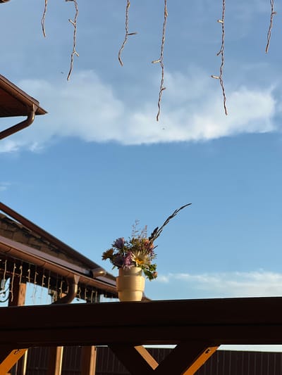The image depicts a rustic scene, likely outdoors, with a focus on a small vase of wildflowers. The vase, a cream-colored ceramic, sits on a dark wooden railing. The wildflowers are a mix of colors, including purple, yellow, and white, with some dried grasses and stalks. The background is a clear blue sky with scattered white clouds. Hanging above are strings of small, fairy lights, some with visible bulbs, adding a whimsical touch. To the left, a portion of a brown, wooden-roofed structure with a gutter is visible, suggesting a building or gazebo. In the distance, a flock of birds is visible in the sky. The overall impression is one of peaceful, natural beauty with a hint of festive decoration. The location is stated to be the city of Bol'shaya Shishovka, Russia.