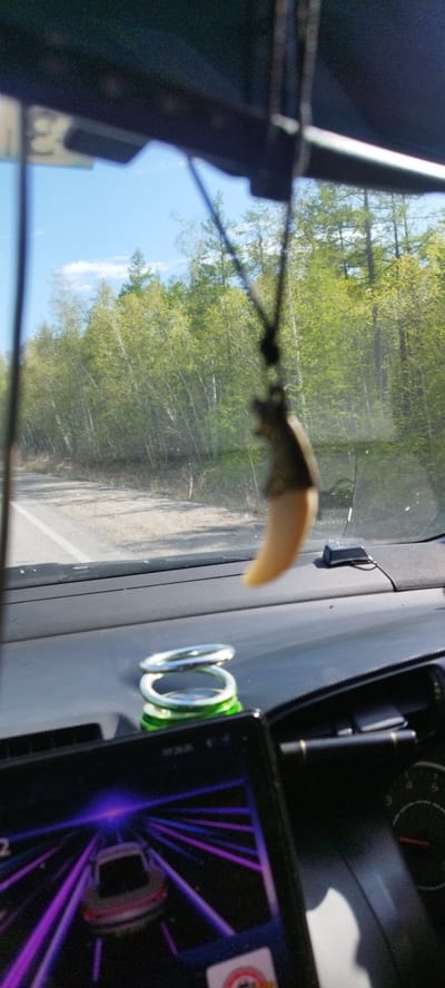 The image shows a view from inside a car, likely in motion, on a road in Tabaga, Russia. Outside the windshield is a landscape with light green trees under a bright blue sky with a few clouds. Inside the car, hanging from the rearview mirror, is a pendant in the shape of a tooth. On the dashboard are two silver rings stacked on top of a green can. A screen displays what appears to be a car racing game. Part of a speedometer is visible.