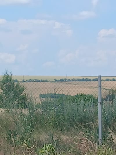 The image depicts an outdoor scene, likely in a rural or semi-rural area, with a clear sky and patchy white clouds dominating the left half of the frame. The right half features a chain-link fence that runs vertically through the image, separating the sky from a field and overgrown vegetation.
Beyond the fence, the field appears to be agricultural, with rows of what could be crops or fallow land. The ground is a light brown or tan color, suggesting dry soil or stubble. A line of trees or dense bushes is visible along the horizon where the field meets the sky.
In the foreground, to the right of the fence, is an area of untamed greenery. This includes various types of grass, weeds, and some taller, bushier plants. Some of the vegetation is dry and appears to be dead or dormant, interspersed with greener, more vibrant growth. A horizontal bar, possibly part of the fence structure, runs across the upper middle section of the image, behind the chain-link mesh.
The lighting suggests it is daytime, with the sky being bright and the overall scene well-lit. There are no people or discernible human figures in the image. The image has been rotated, as indicated by the vertical orientation of the sky and fence. The overall impression is one of a landscape, possibly a border or boundary of a property or field. No text is visible in the image.