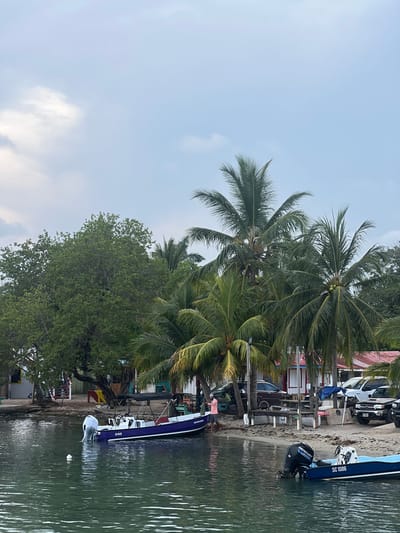 The image shows a waterfront scene in Placencia, Belize. Tall coconut palm trees and other tropical trees line the shore. Several buildings are visible along the coast, including houses and small businesses. Vehicles are parked near the shoreline. Two boats are docked, partially in the water. The sky is overcast with light clouds. The water is calm and reflects the surrounding environment. The boats appear to be small motorboats. There are very few people visible in the image.
